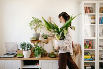 woman at home with collection of houseplants, home and interior design, green homes, hobby